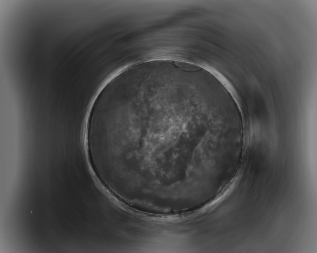 X0000097850957200803201535