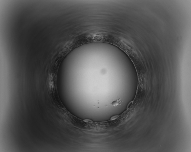 X0000097850962200803201535