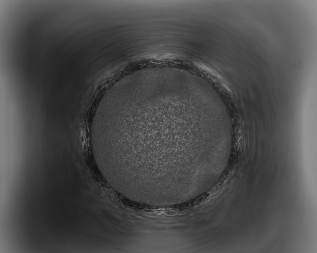 X0000097850966200803201535