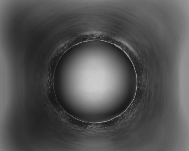 X0000097850967200803201535