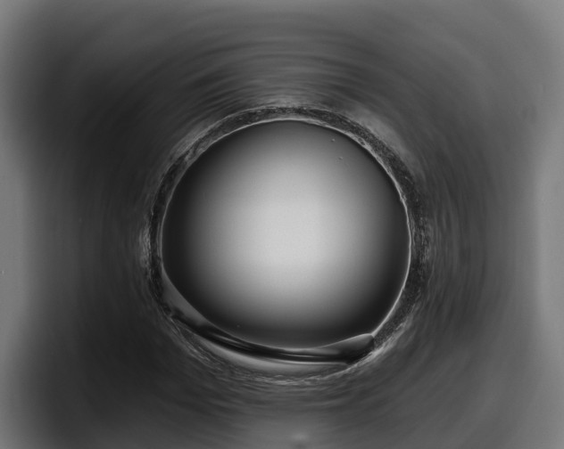 X0000097850969200803201534