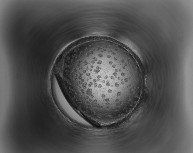 X0000097850972200803201534
