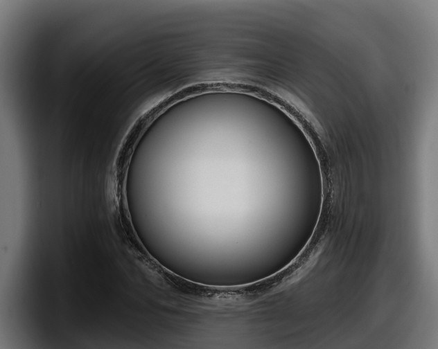 X0000097850974200803201534