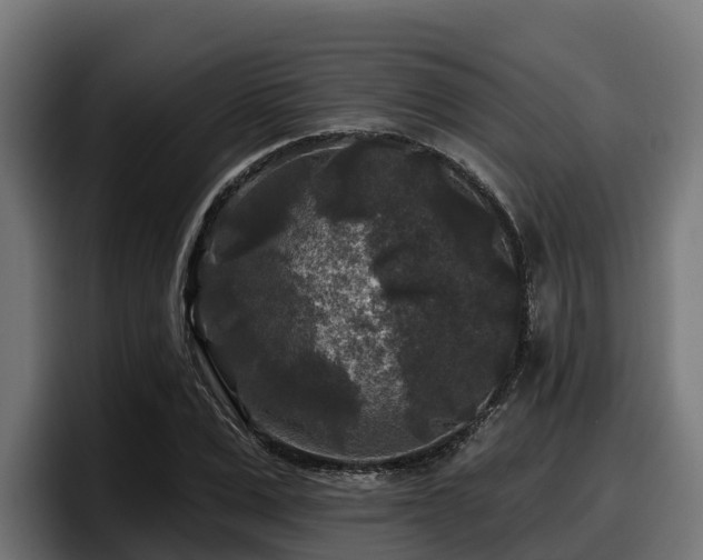 X0000097850975200803201534