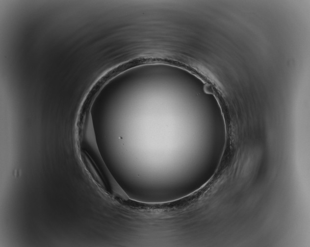 X0000097850976200803201534