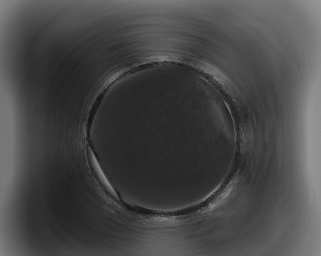X0000097850977200803201534