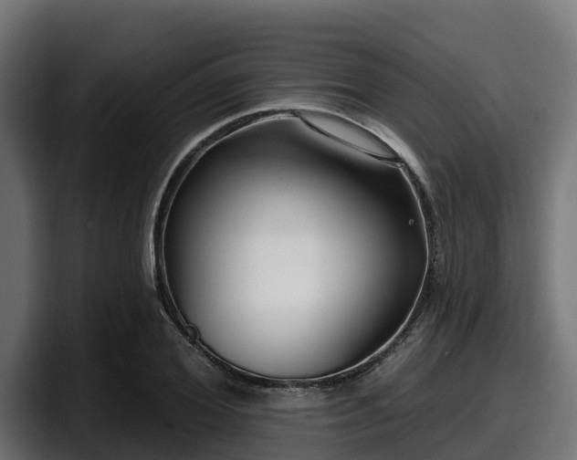 X0000097850980200803201534