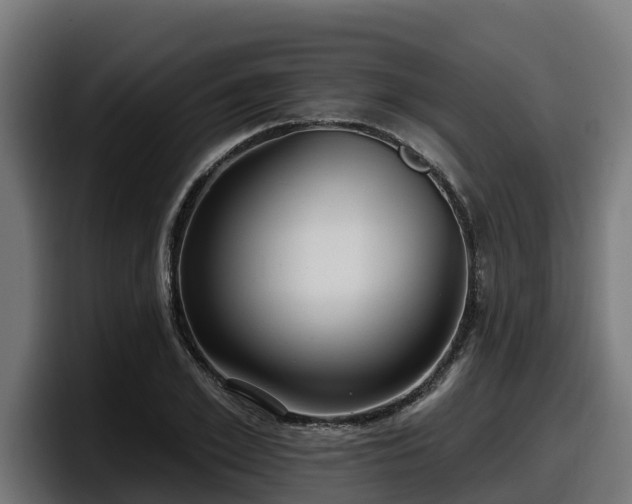 X0000097850981200803201534
