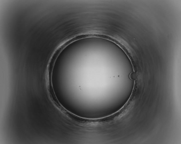 X0000097850982200803201534