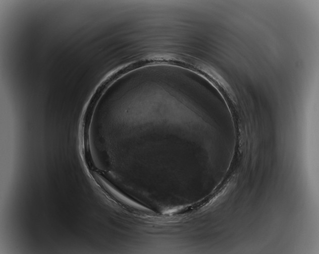 X0000097850984200803201534