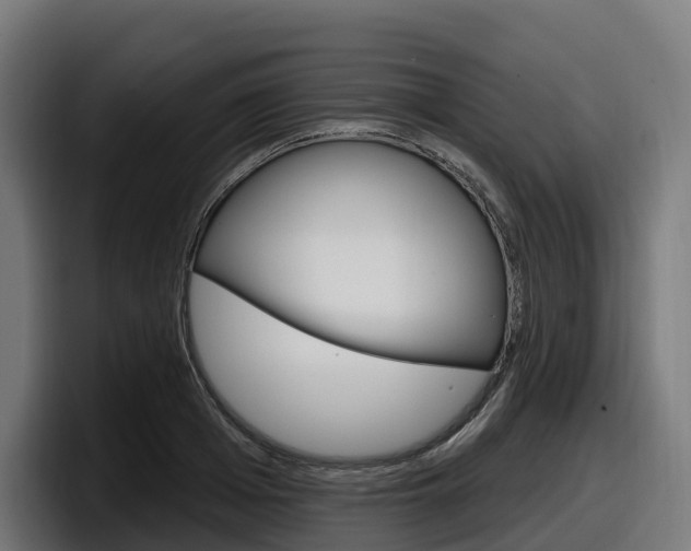 X0000097850985200803201534
