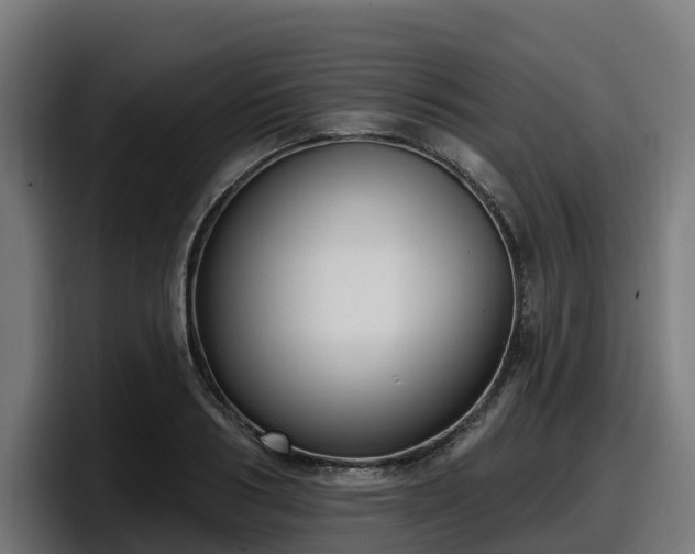 X0000097850986200803201534