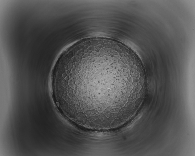 X0000097850987200803201534