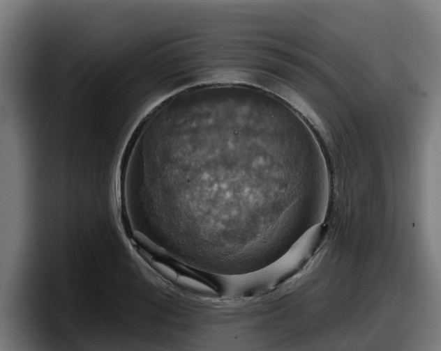 X0000097850988200803201534