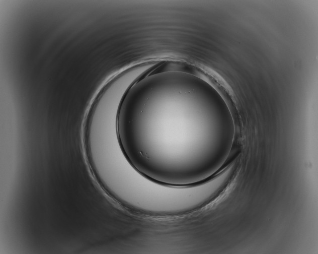X0000097850989200803201534