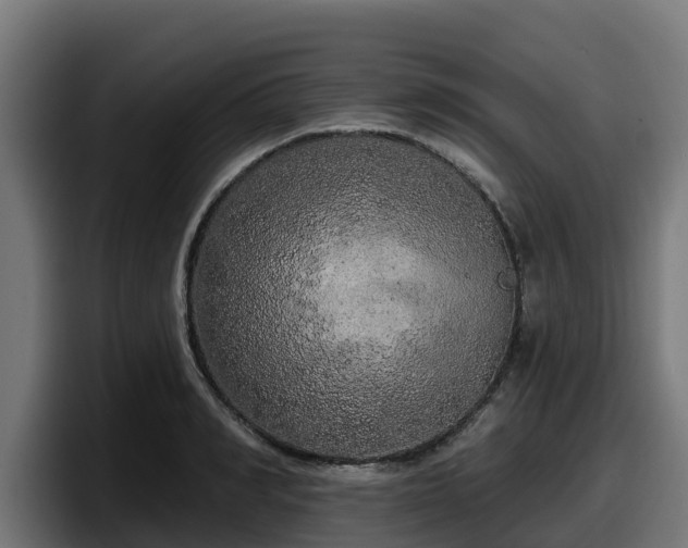 X0000097850990200803201534