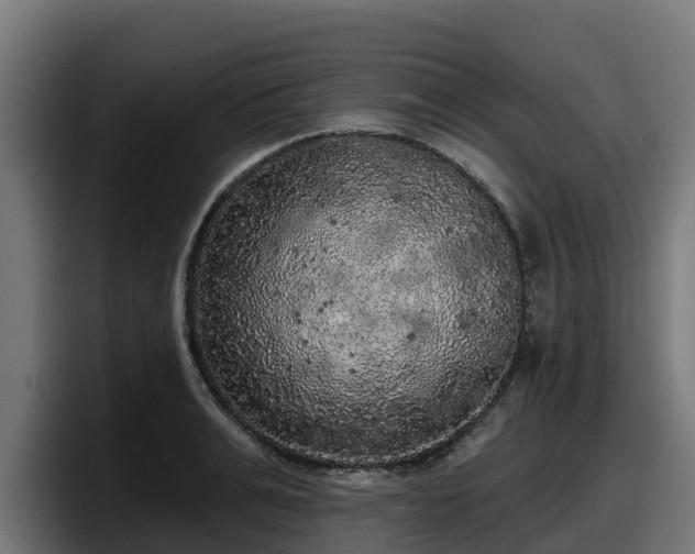 X0000097850991200803201534