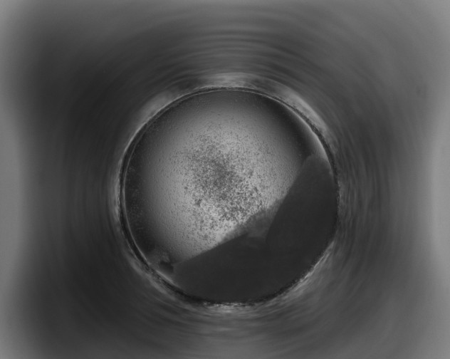 X0000097850994200803201534
