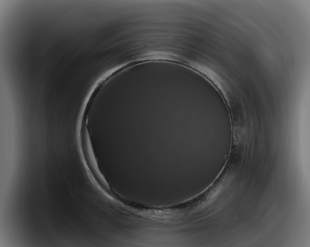 X0000097850995200803201534