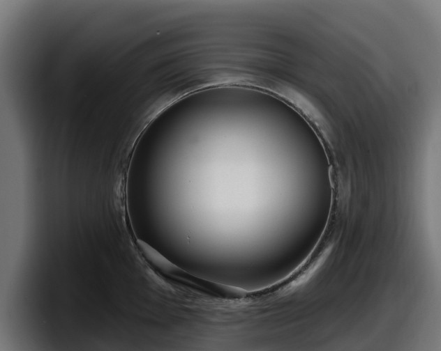 X0000097851001200803201534