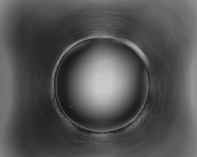 X0000097851004200803201534