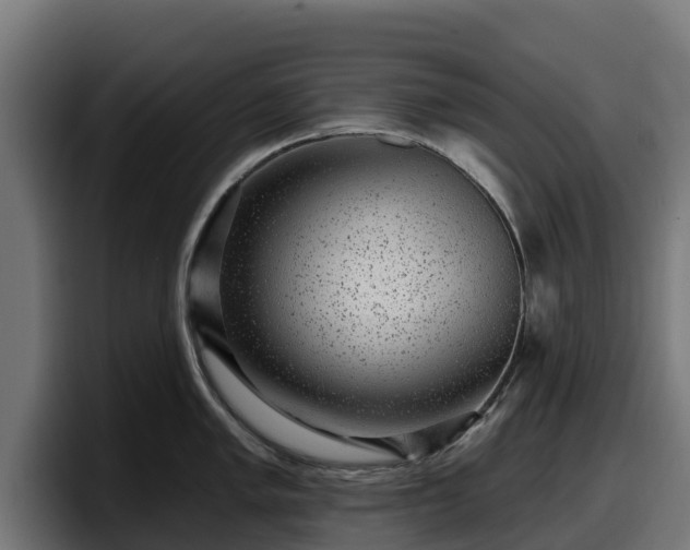 X0000097851005200803201534