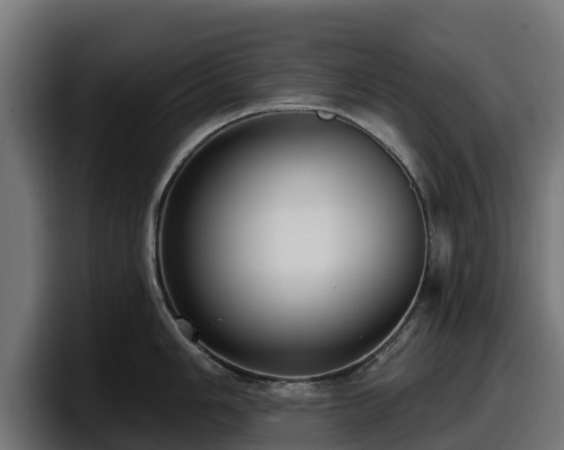 X0000097851006200803201534