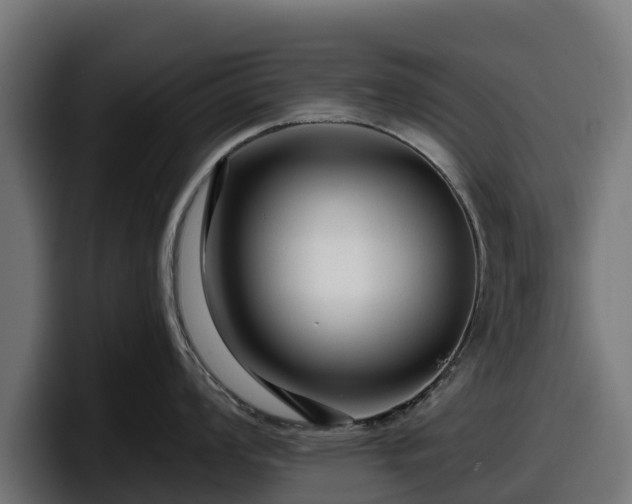 X0000097851008200803201534