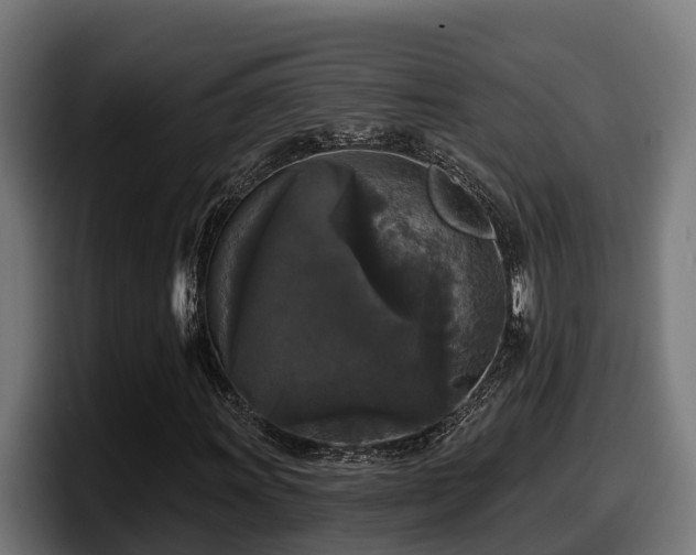 X0000097851011200803201533