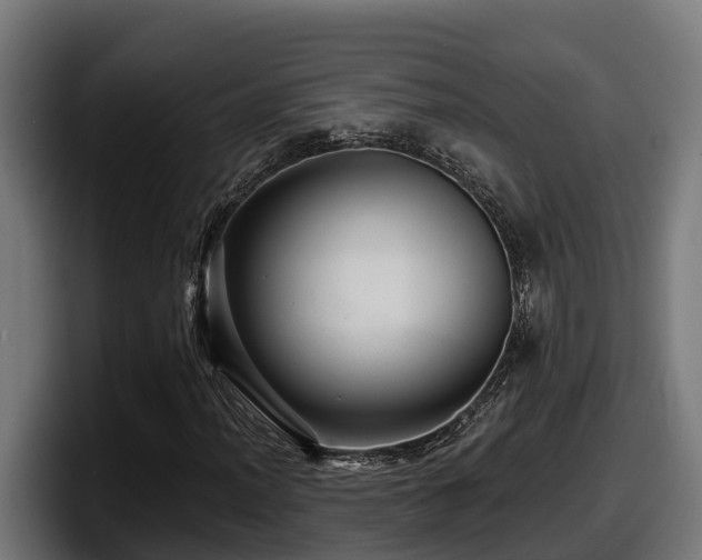 X0000097851012200803201533
