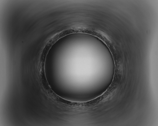X0000097851016200803201533