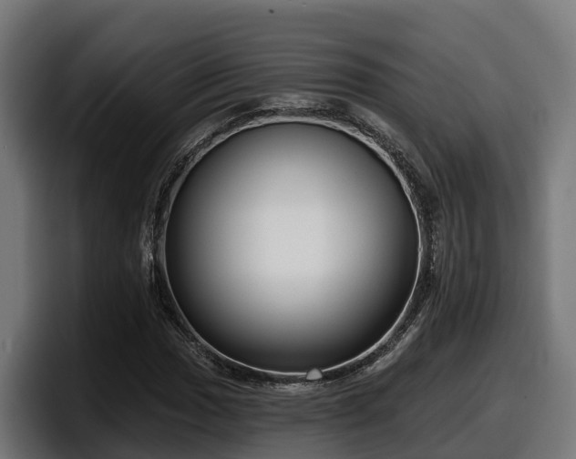 X0000097851017200803201533