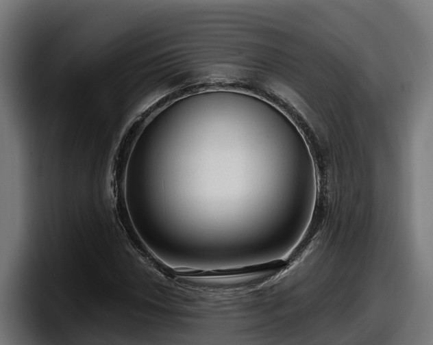 X0000097851018200803201533