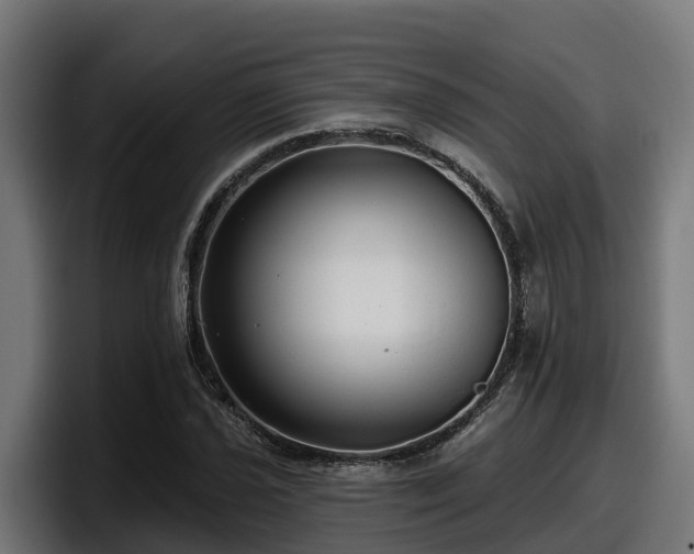 X0000097851021200803201534