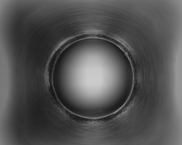 X0000097851022200803201534