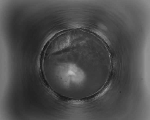 X0000097851023200803201534