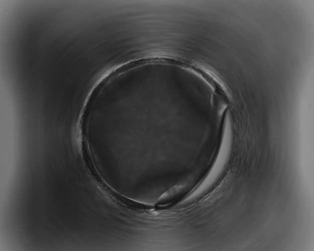 X0000097851024200803201534