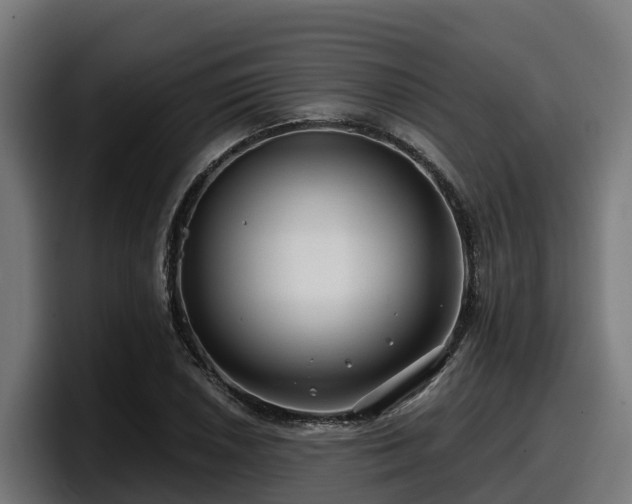 X0000097851026200803201534