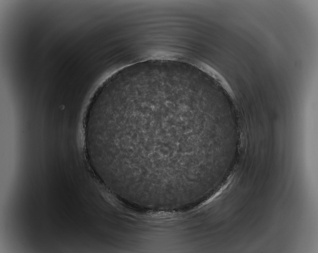 X0000097851027200803201534