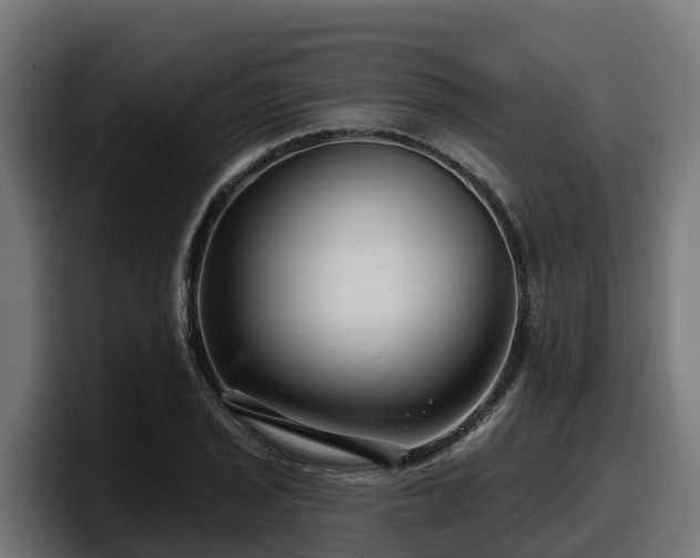 X0000097851029200803201534