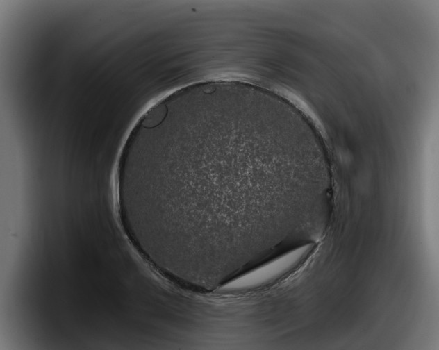 X0000097851032200803201534