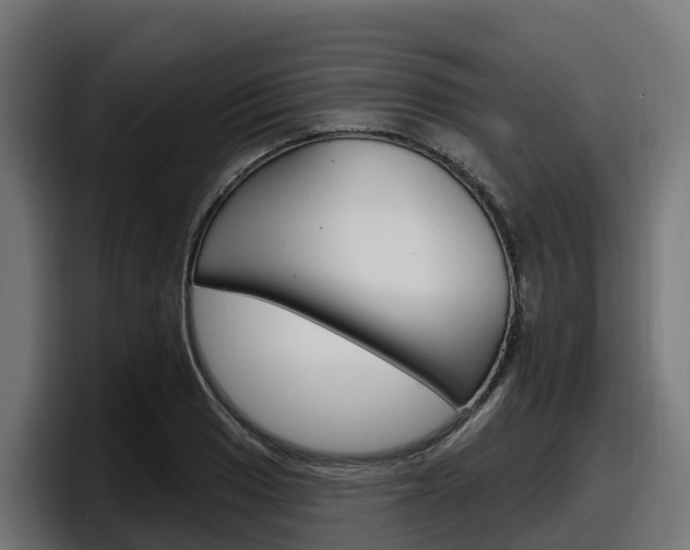 X0000097851033200803201534