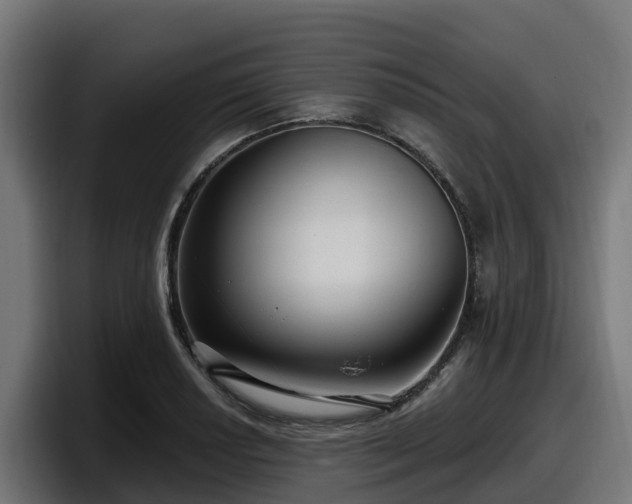 X0000097851034200803201534