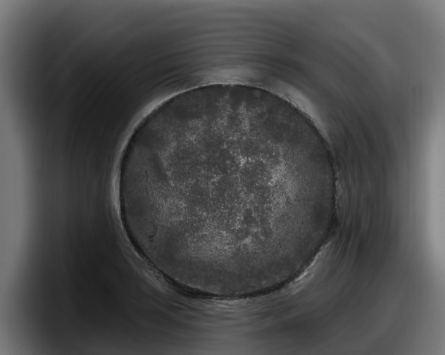 X0000097851035200803201534