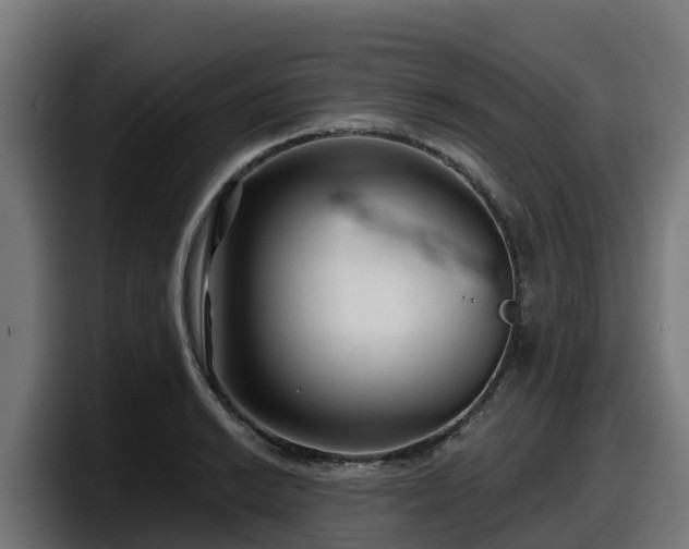 X0000097851038200803201534