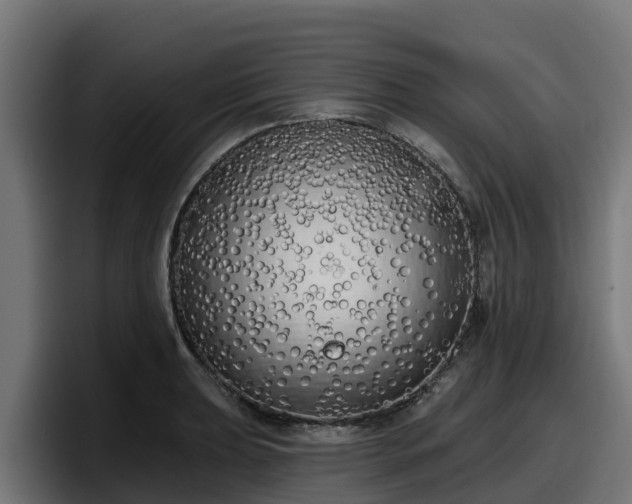 X0000097851039200803201534