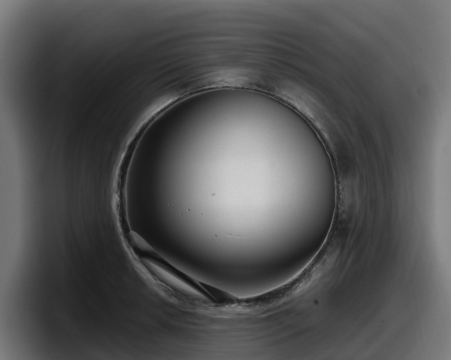 X0000097851042200803201534