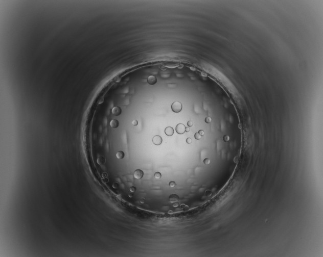 X0000097851043200803201534