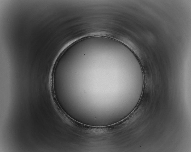 X0000097851044200803201534