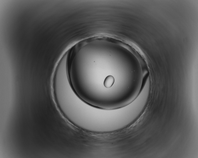 X0000097851048200803201534